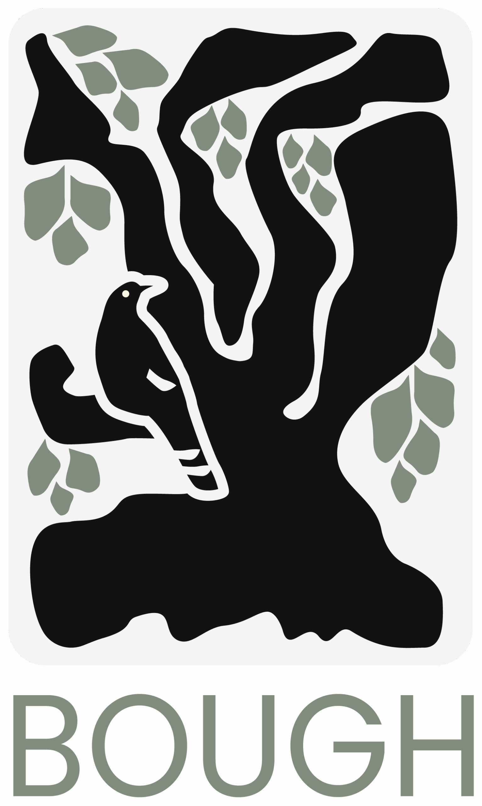 Currawong
